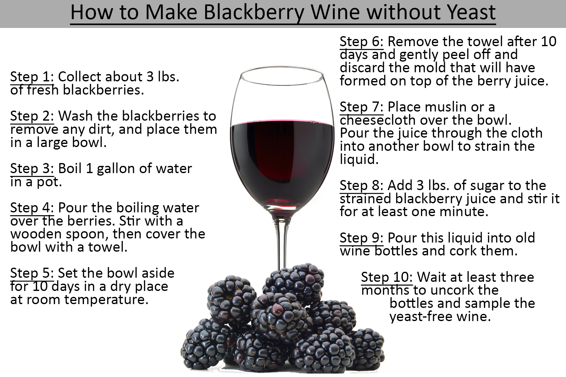 From Berries To Bottles How To Make Blackberry Wine Without Yeast from-berries-to-bottles-how-to-make-blackberry-wine-without-yeast