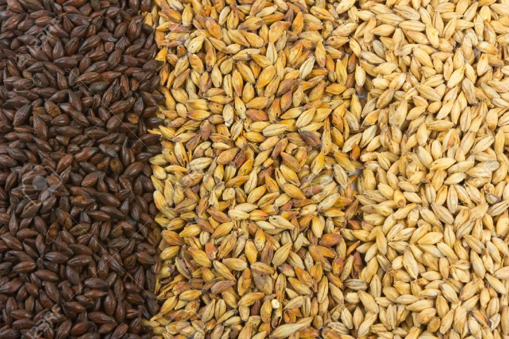 References to malt and grain for brewing