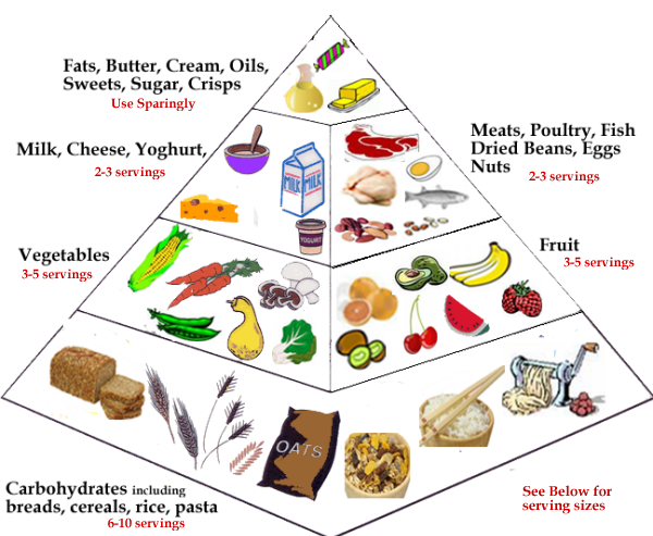 Infographic explaining what carbohydrates are and how the grains in beer effect health.